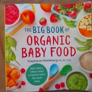 The Big Book of Organic Baby Food